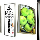 Led display light boxes